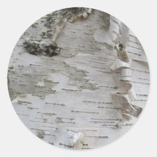 Birch Tree Bark Peeled Old Photo Art Classic Round Sticker