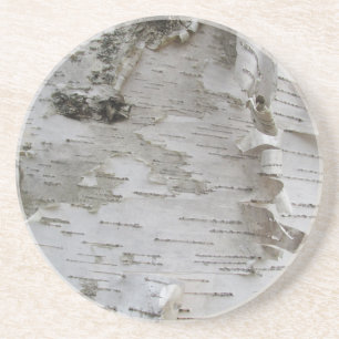 Birch Tree Bark Peeled Old Photo Art Drink Coaster