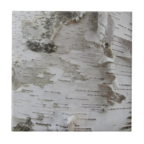 Birch Tree Bark Peeled Old Photo Art Tile