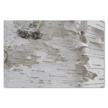 Birch Tree Bark Peeled Old Photo Art Tissue Paper by warrior_woman at Zazzle