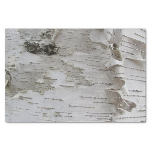 Birch Tree Bark Peeled Old Photo Art Tissue Paper