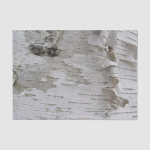 Birch Tree Bark Peeled Old Photo Art Tissue Paper