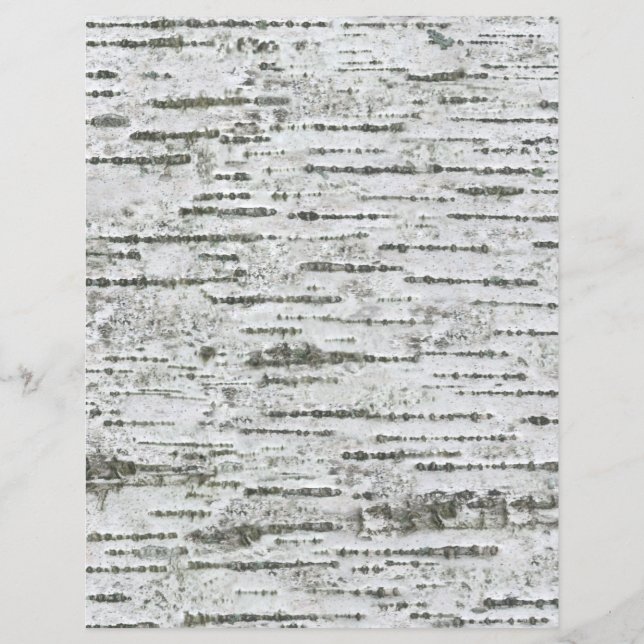Birch Tree Bark White Gray Pattern Scrapbook Paper (Front)
