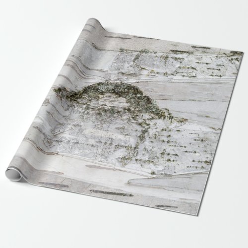 Birch Tree Bark Wrapping Paper