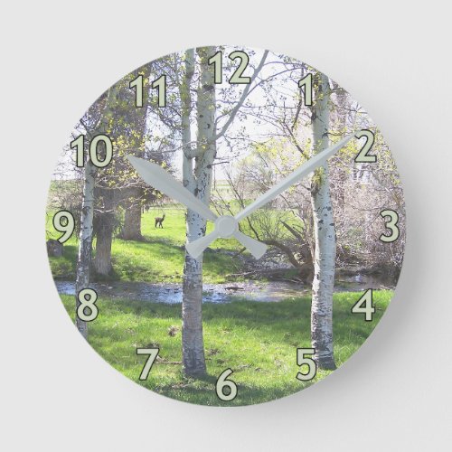 Birch Tree Beauty Round Clock