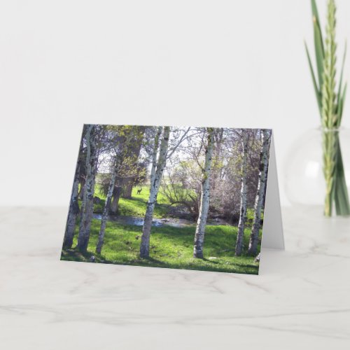 Birch Tree Beauty Thank You Card