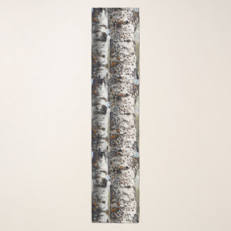 Birch Tree Chiffon Scarf