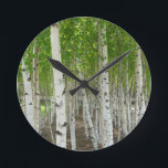 Birch Tree Clock<br><div class="desc">Closeup of a group of beautiful young birch trees showing detail of their white trunks topped with light green leaves.</div>