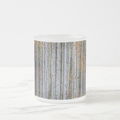 Birch tree forest frosted glass coffee mug