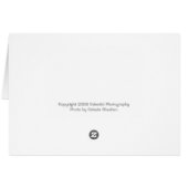 Birch Tree Forest, Maine Cards (Back Horizontal)