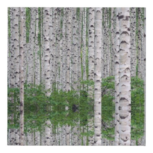 Birch Tree Forest Nature Canvas Wall Art