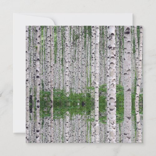 Birch Tree Forest Nature Flat Card