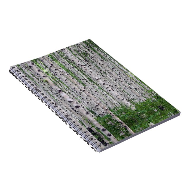 Birch Tree Forest Nature Notebook (Right Side)