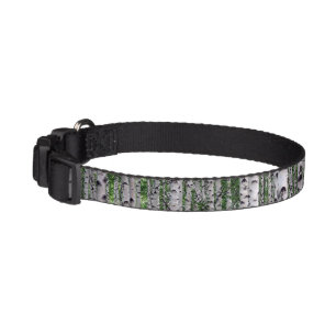 Birch Tree Forest Nature Pet Collar