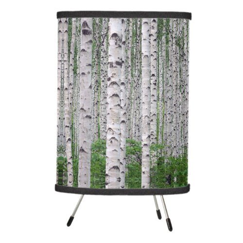 Birch Tree Forest Nature Tripod Lamp