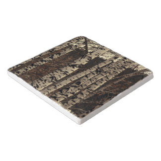 Birch Tree Forest Nature Trivet