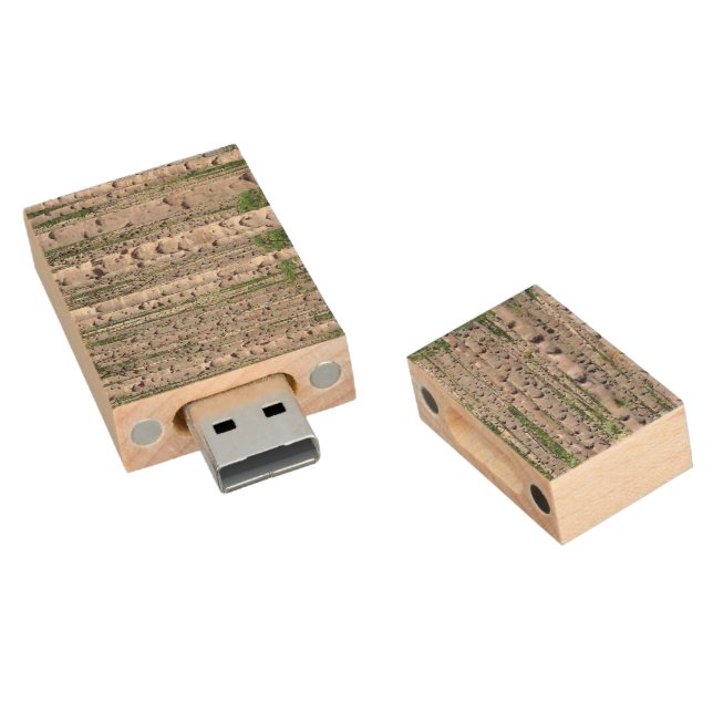 Birch Tree Forest Nature Wood USB Flash Drive (Angled)