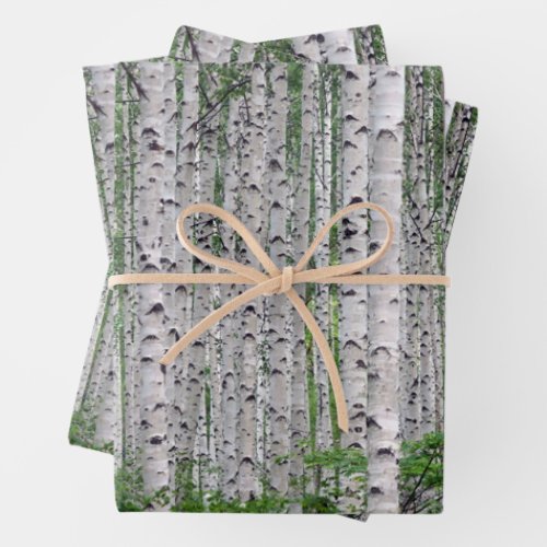 Birch Tree Forest Nature Wrapping Paper Sheets