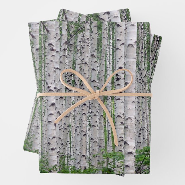 Birch Tree Forest Nature Wrapping Paper Sheets (In situ)