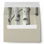 Birch