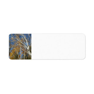 Birch tree label