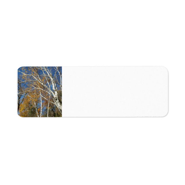 Birch tree label (Front)