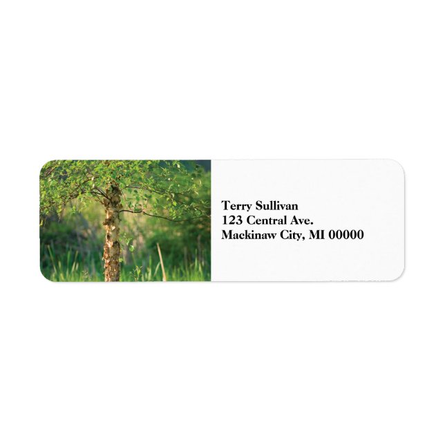Birch Tree Label (Front)