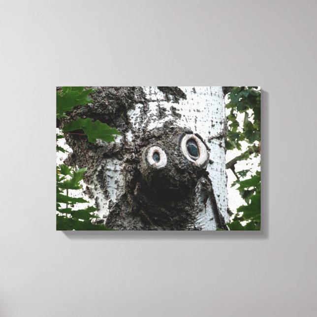 Birch  Tree Magic Face Photography Canvas Print (Front)