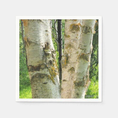 Birch Tree Paper Napkins