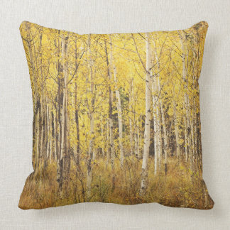 Birch Tree Pillow - yellow, brown gold, white