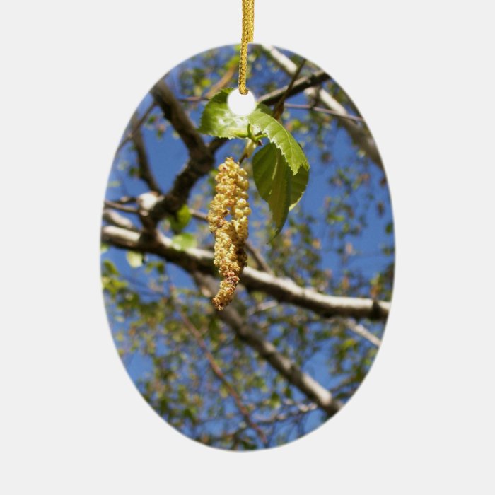 Birch Tree Seed Pods Ornament