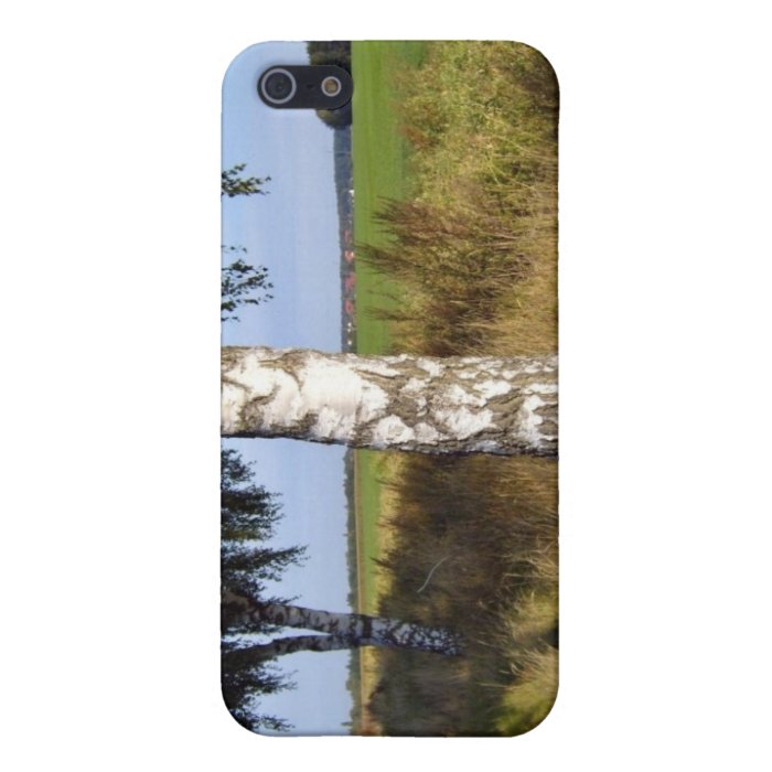 Birch Tree Trunk along roadside Case For iPhone 5