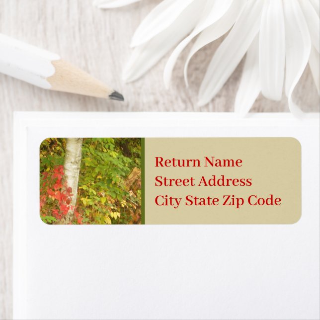 Birch Tree Trunk Label (Insitu)