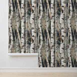 Birch Tree Trunks Forest Wallpaper