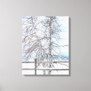 Birch Tree Winter Scene Canvas Print