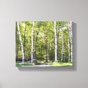 Birch Tree Woods Wrapped Canvas Print