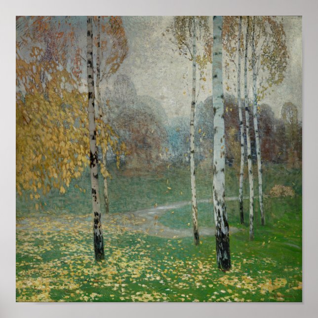 Birch Trees, 1904 (oil on canvas) Poster (Front)