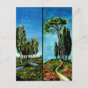 BIRCH TREES,CYPRESS, MEDITERRANIAN PINE IN TUSCANY POSTCARD