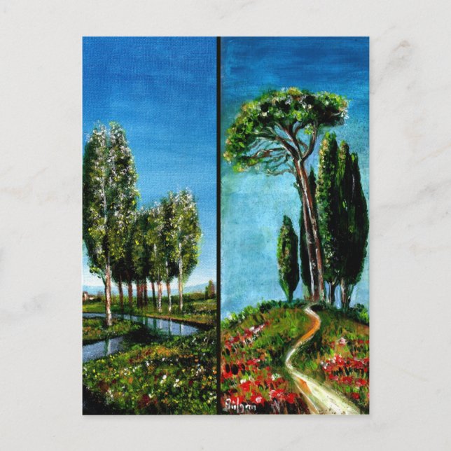 BIRCH TREES,CYPRESS, MEDITERRANIAN PINE IN TUSCANY POSTCARD (Front)