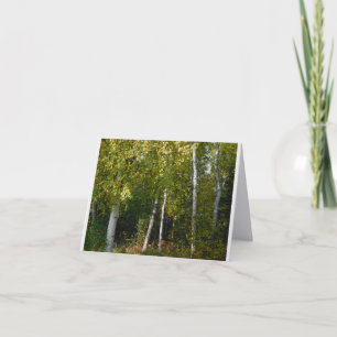 Birch Trees Folded Note Card