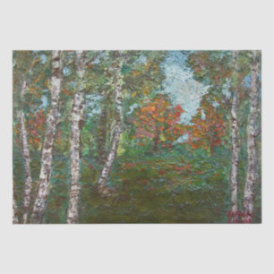 Birch Trees in a Romanian Forest (by Kimon Loghi) Tissue Paper