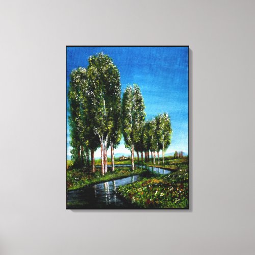 BIRCH TREES IN TUSCANY CANVAS PRINT