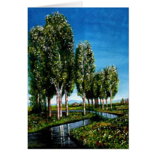 BIRCH TREES IN TUSCANY CARDS (Front)