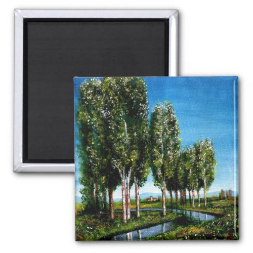BIRCH TREES IN TUSCANY MAGNET