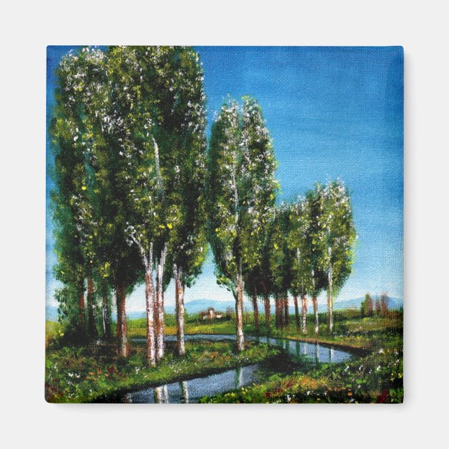 BIRCH TREES IN TUSCANY MAGNET (Front)