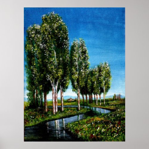 BIRCH TREES IN TUSCANY POSTER