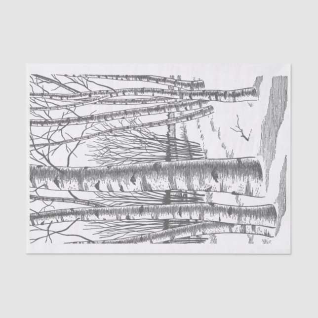 Birch Trees In Winter Tissue Paper (Front)