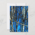 Birch trees invitation