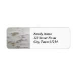 Birch Trees Label