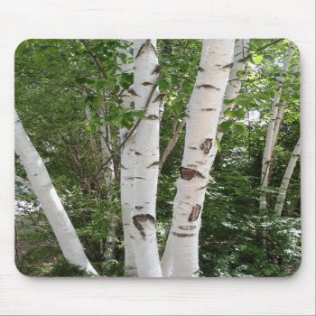 Birch Trees Mousepad by NortonSpiritApparel at Zazzle